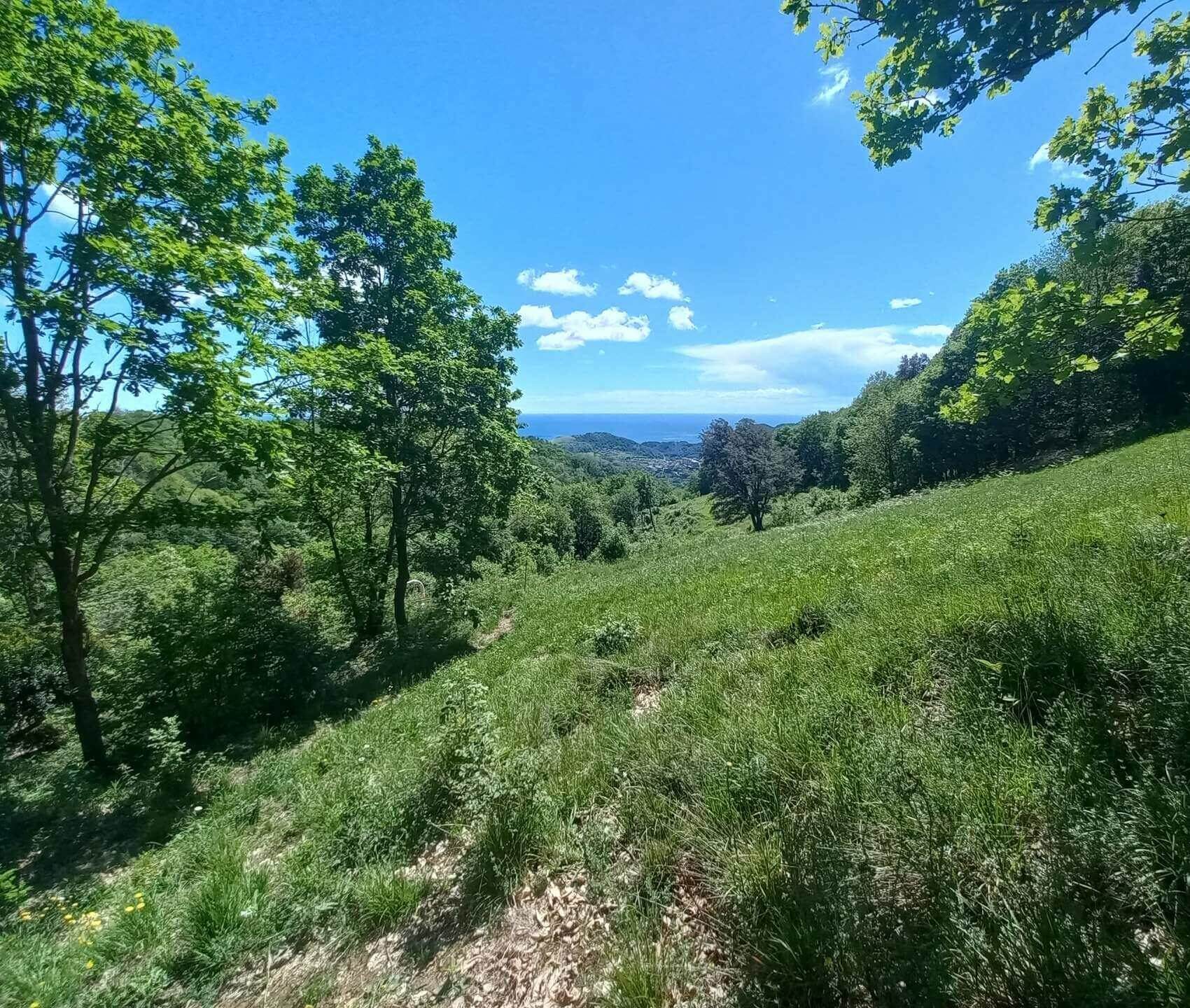 Una foto panoramica dell'Oasi Affiliata WWF Terre dei Bravin