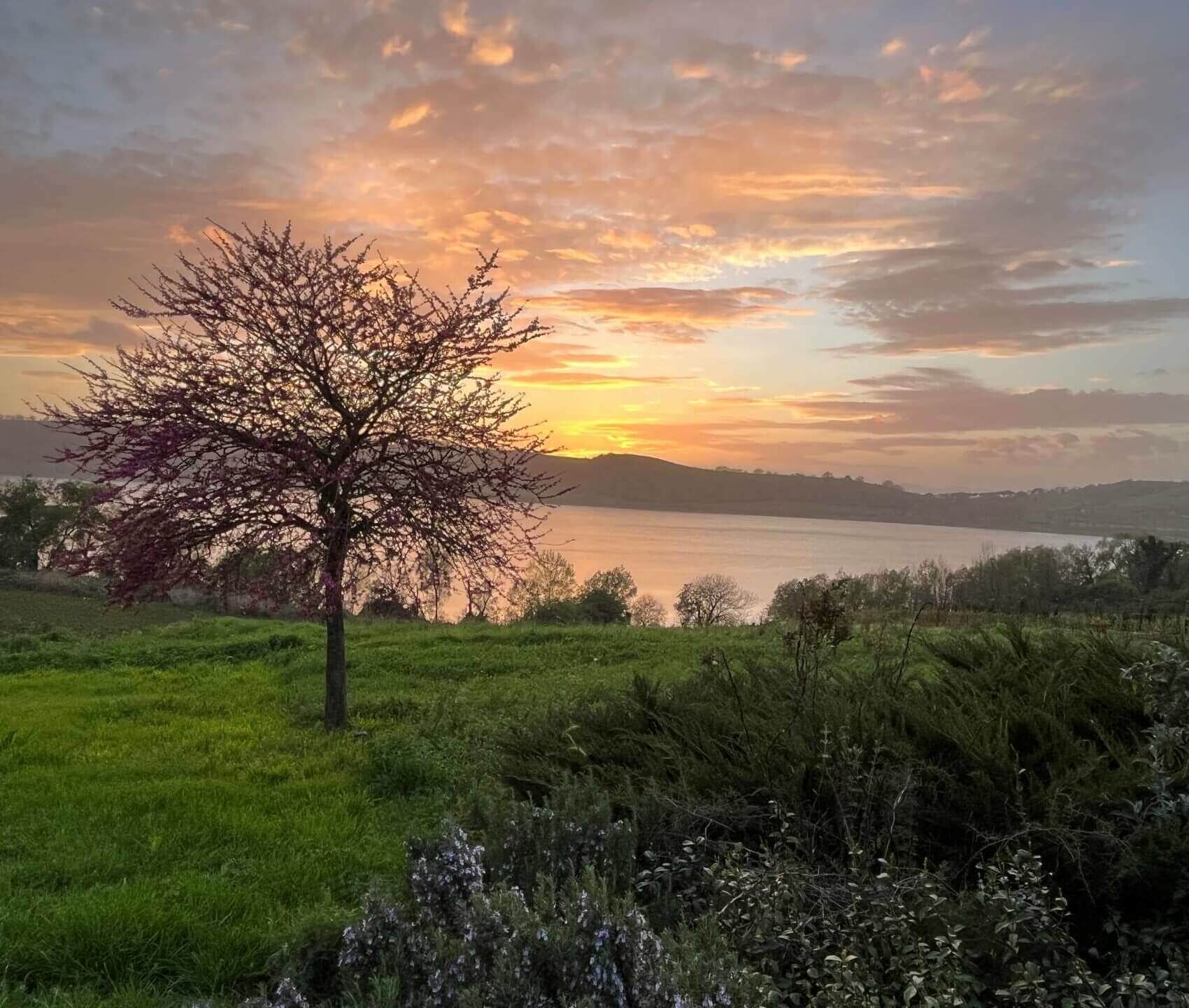 foto con veduta del lago di Martignano